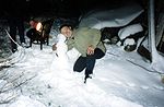 Близнецы